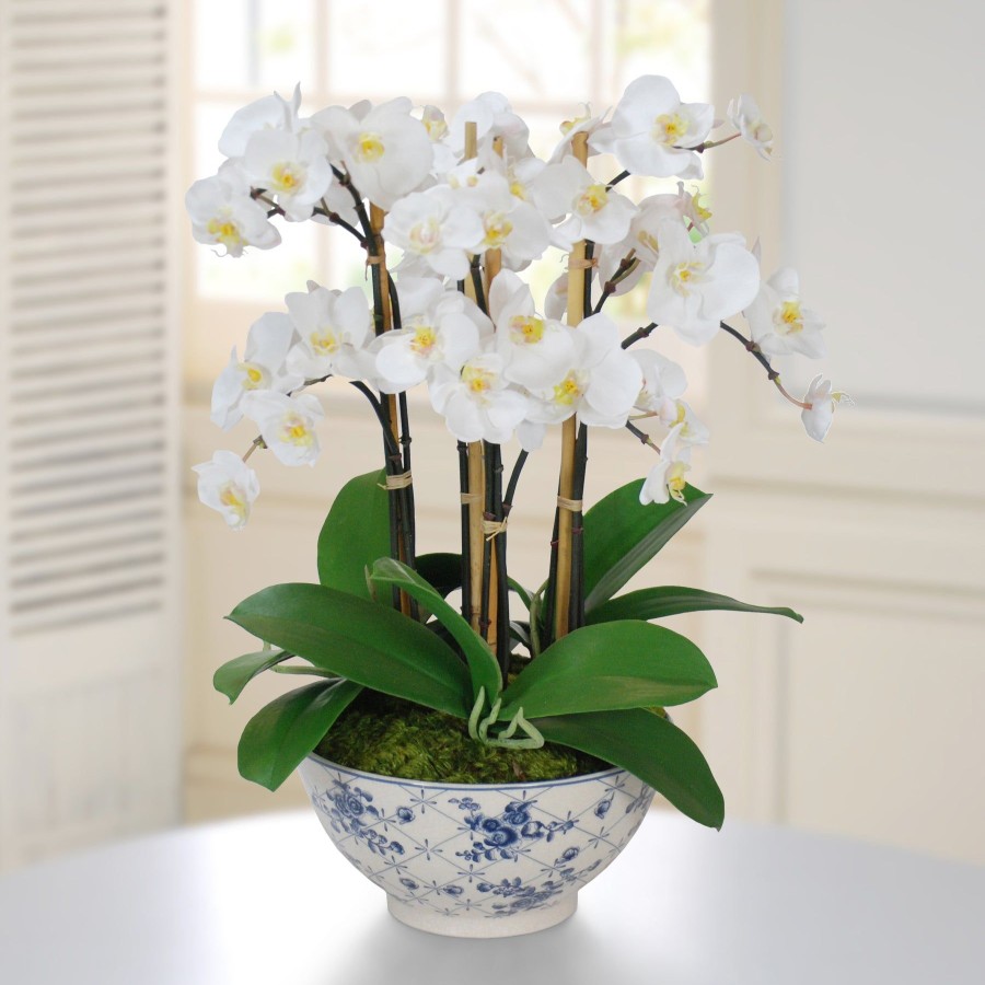 Winward Home Orchid In Rose Trellis Bowl 21" Hot