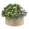 Winward Home Mix Succulent Garden Planter (Whd217-Grtp) Hot