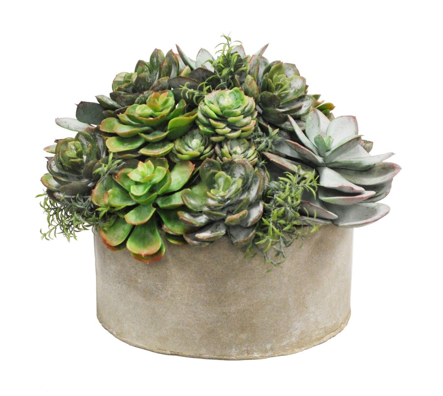 Winward Home Mix Succulent Garden Planter (Whd217-Grtp) Hot