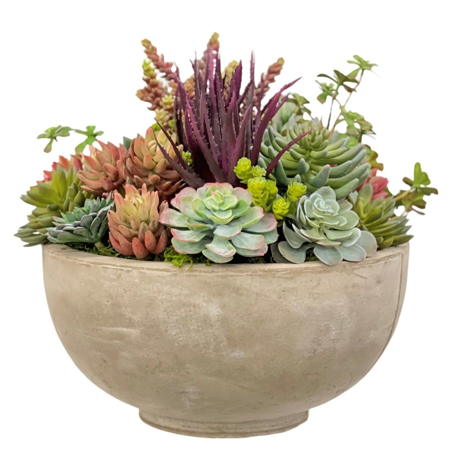 Winward Home Mix Succulents In Bowl 18.5" Online