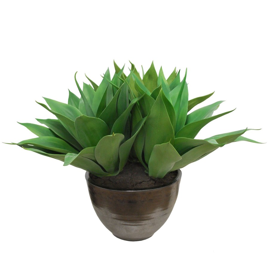 Winward Home Aloe In Crete Bowl 22-Inches Tall Online