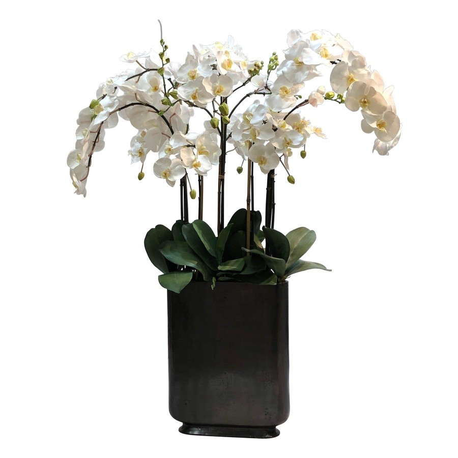 Winward Home Orchid In Rectangle Vase 42" Hot