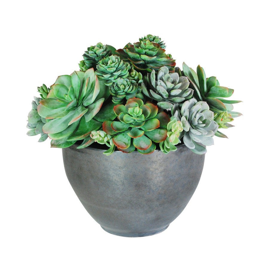 Winward Home Succulent Mix In Bowl 16" Clearance