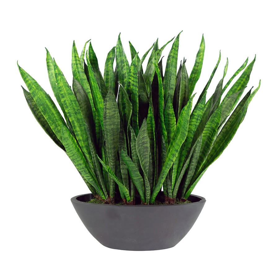 Winward Home Sansevieria In Oval Planter 22" (Whd292-Gr) New