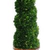 Winward Home Preserved Boxwood Spiral In Tuscan Urn 5' Best