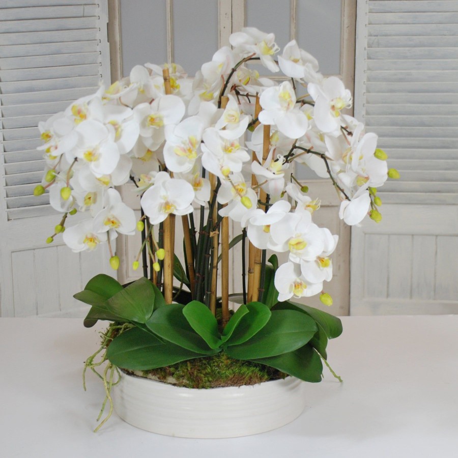 Winward Home Orchids In Urban Coil Bowl 28" Clearance