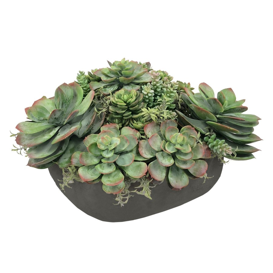 Winward Home Mix Succulent In Casual Tray 11.5'' Best