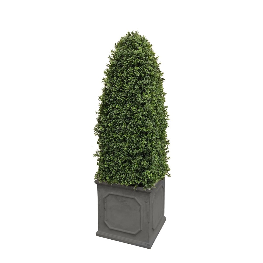 Winward Home Bullet Boxwood In Square Planter 4.5' Wholesale