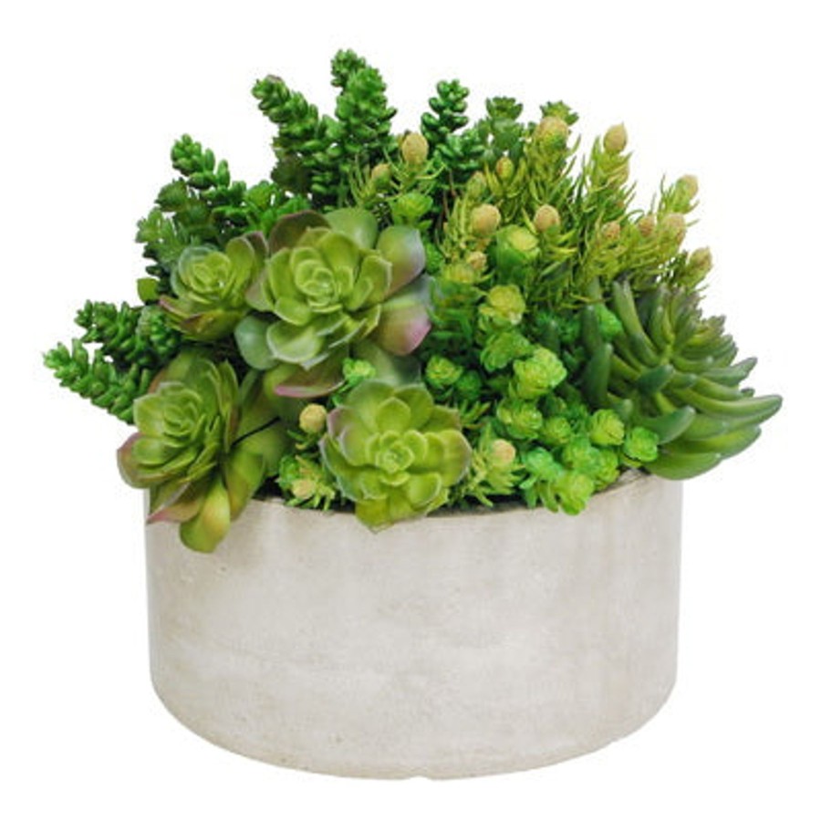 Winward Home Succulent Tall Garden Planter 14" New