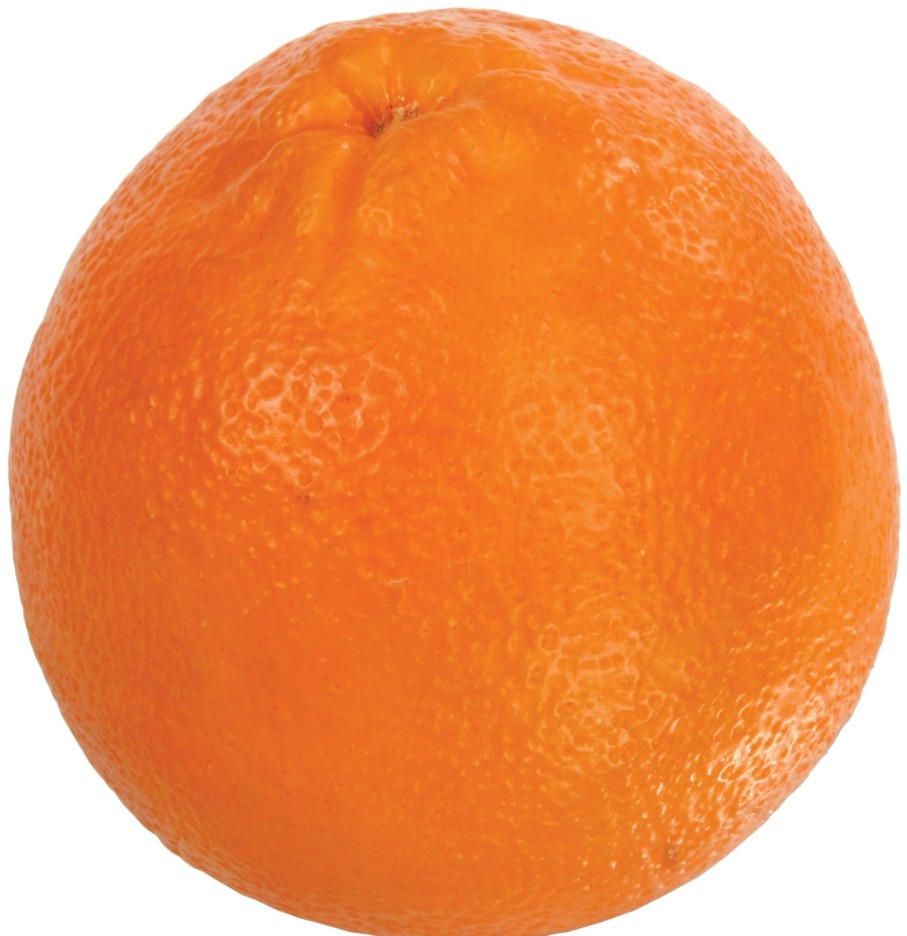 Winward Home Oranges (Set Of 6) Wholesale