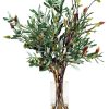 Winward Home Olive Leaf In Vase (Wdp742-Gr) New