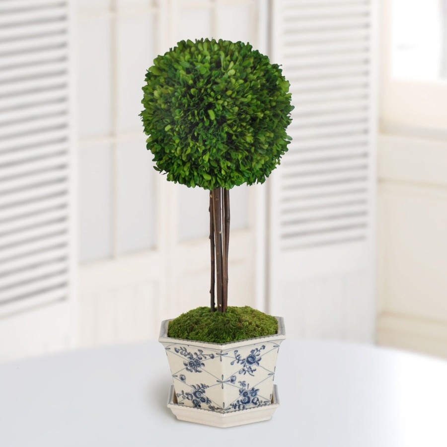 Winward Home Preserved Boxwood Ball In Pot Cache 28" Wholesale