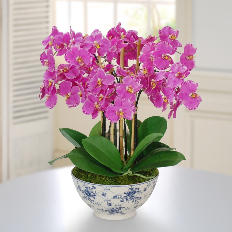 Winward Home Orchid In Rose Trellis Bowl (Whd054-Lvoh) Hot