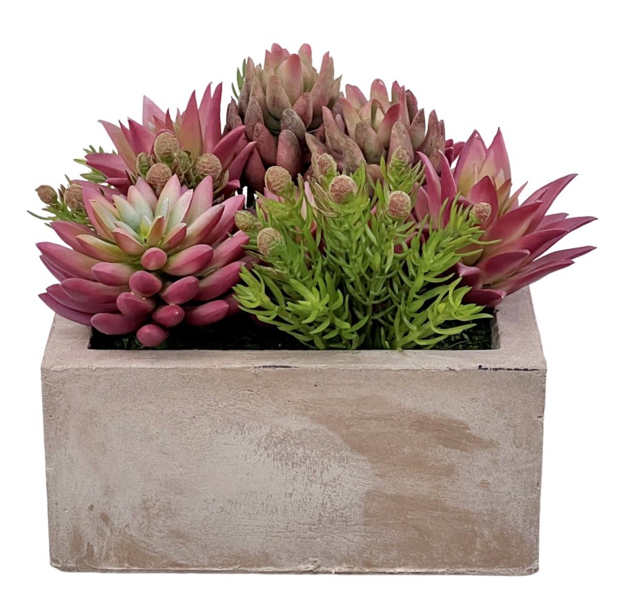 Winward Home Mix Succulent In Square Planter 8.5" Online