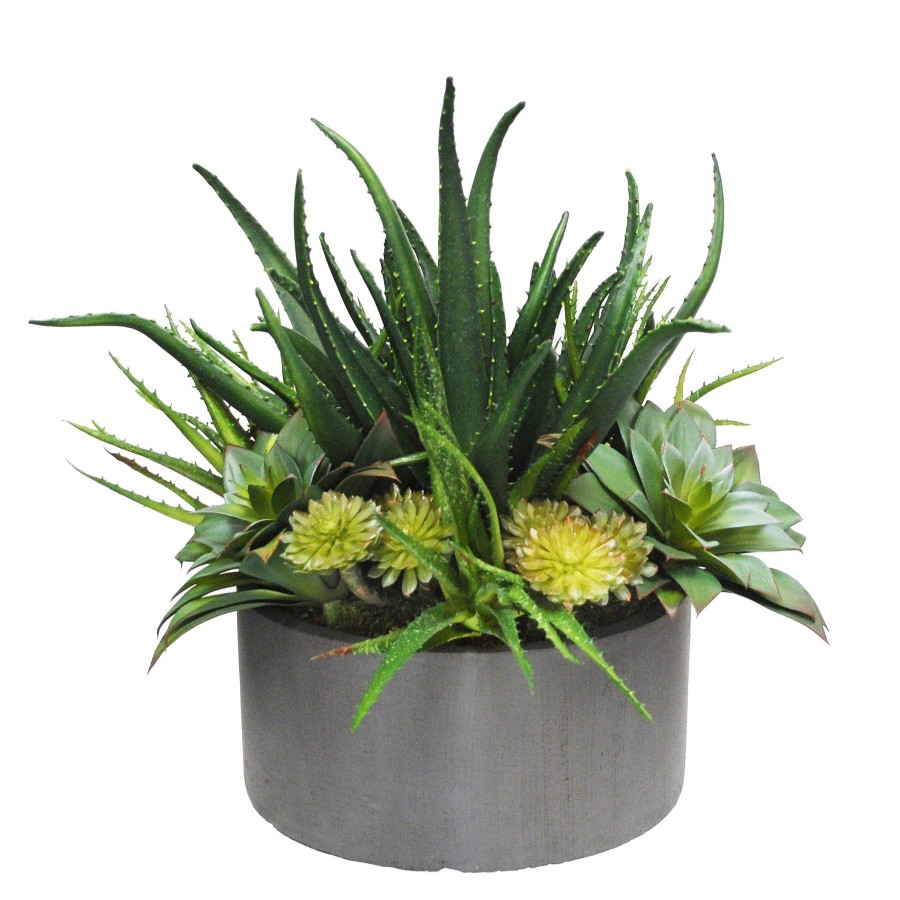 Winward Home Basal Aloe Succulent Planter (Whd205-Gygr) New