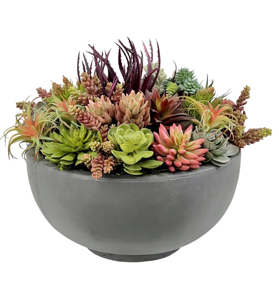 Winward Home Mix Succulents In Bowl 16" Clearance