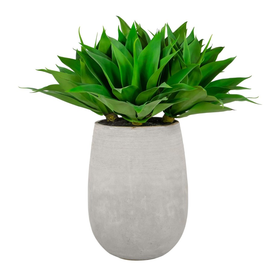 Winward Home Aloe In Stonecast Planter 35" Best