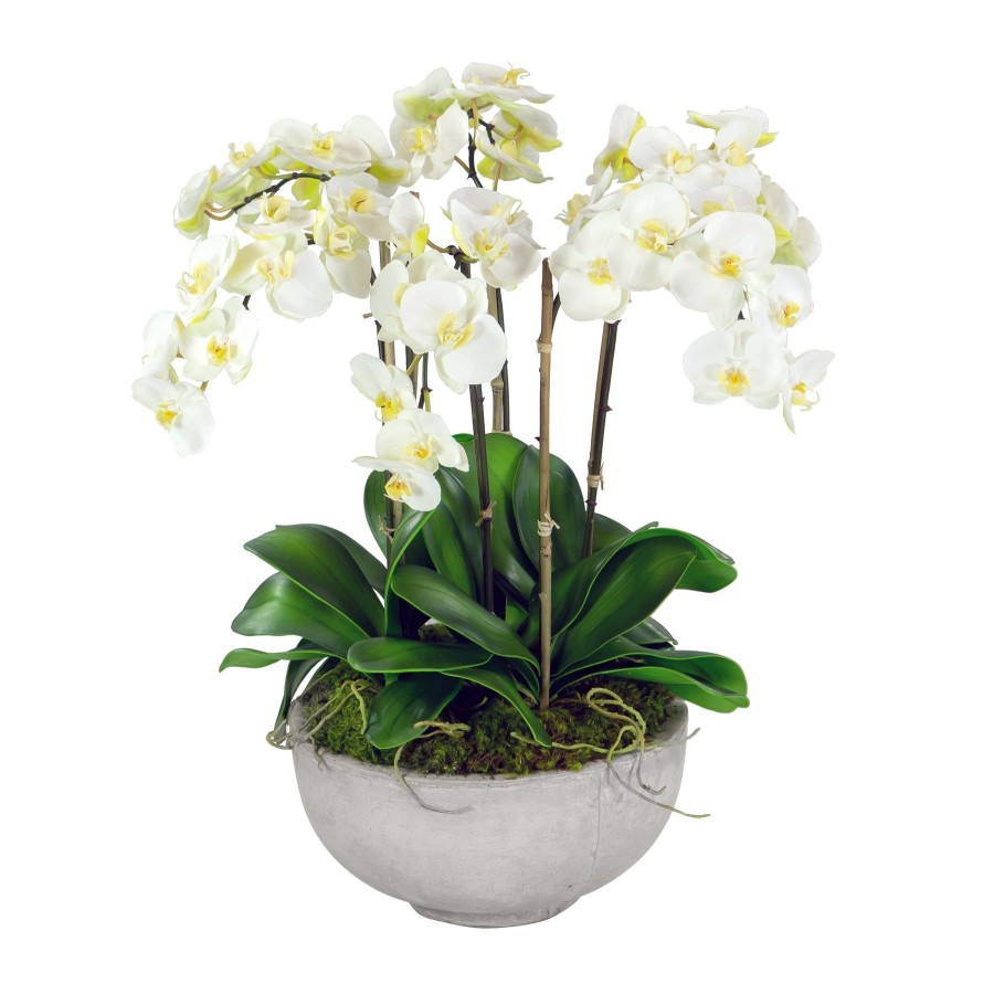 Winward Home Orchids In Bowl 28" Online