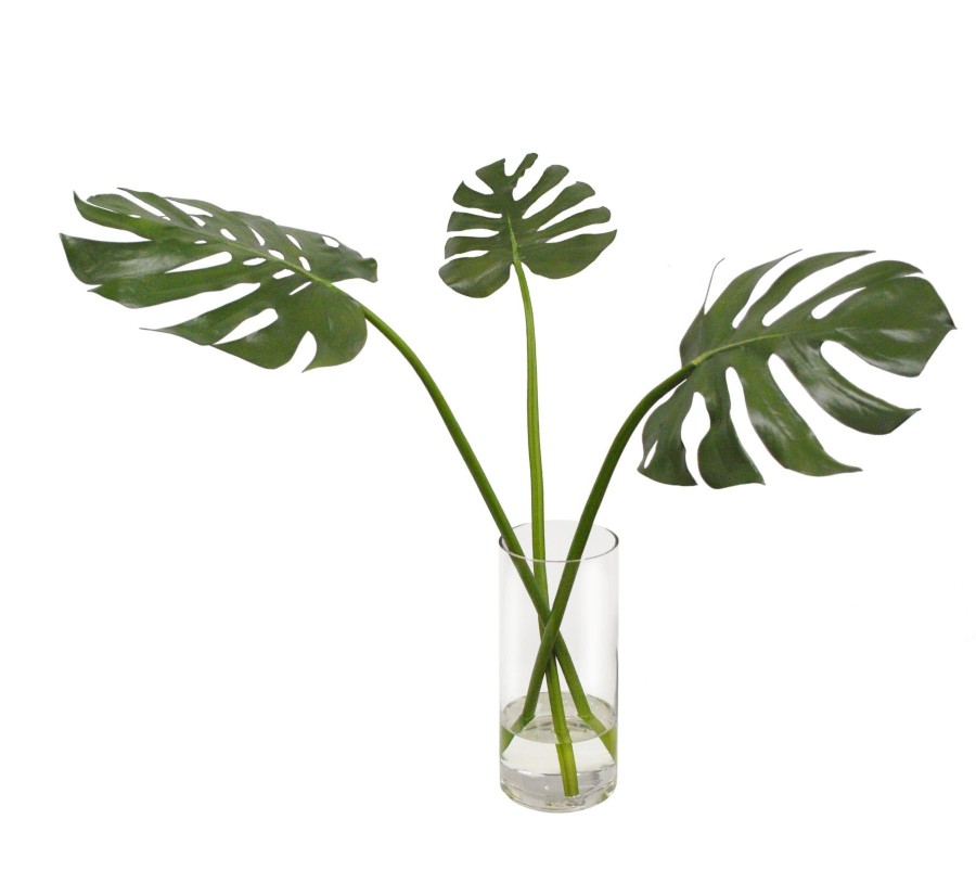 Winward Home Tri Monstera In Vase 29" Hot