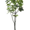 Winward Home Fiddle Leaf Fig Tree In Square Planter 6' Best