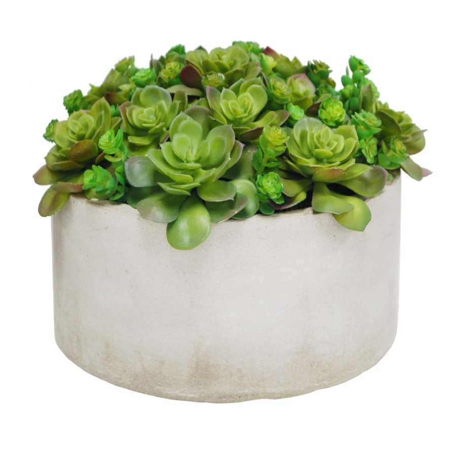 Winward Home Succulent Garden Planter (Whd203-Grtp) Hot