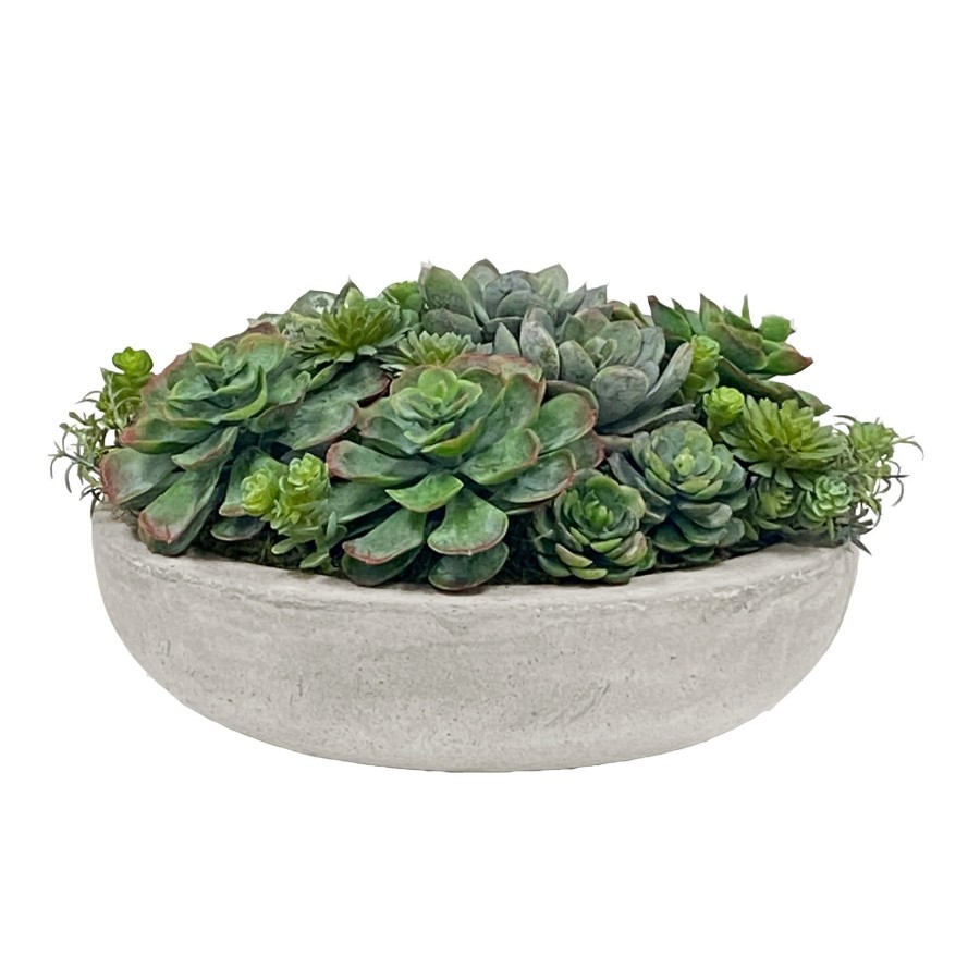 Winward Home Succulent Mix In Round Bowl 7'' Hot