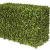 Winward Home Japanese Boxwood Hedge 21" Clearance