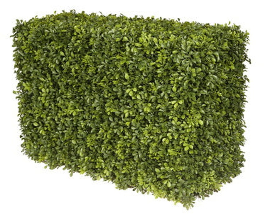 Winward Home Japanese Boxwood Hedge 21" Clearance