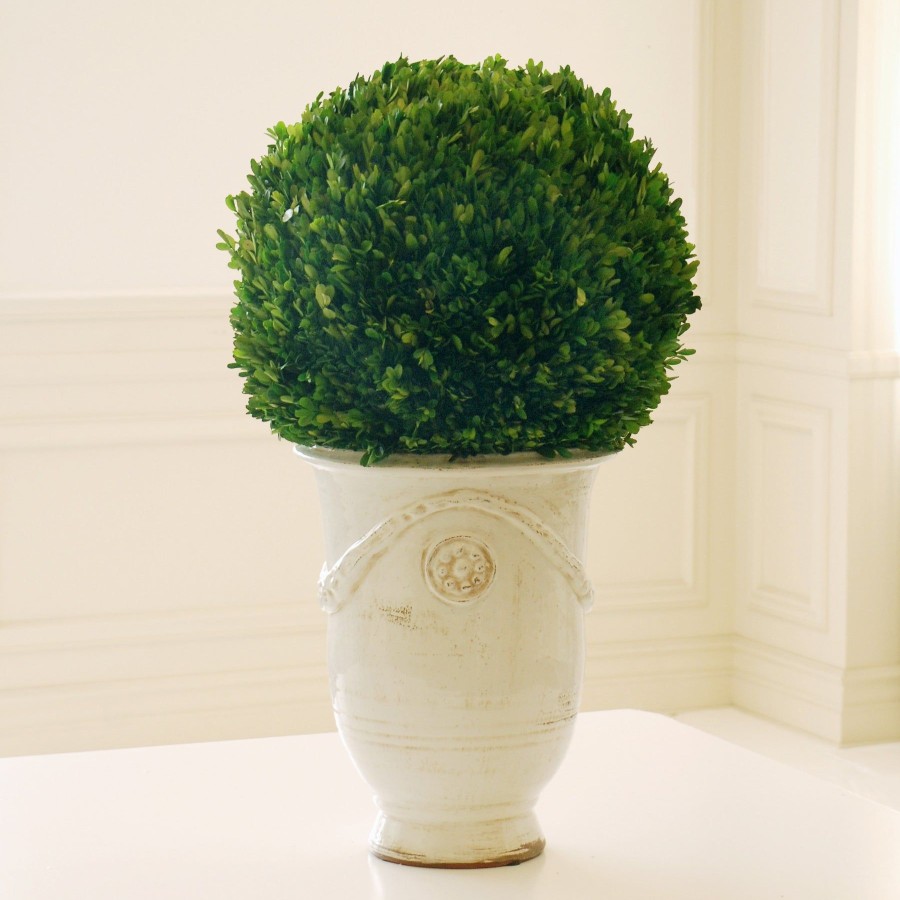 Winward Home Preserved Boxwood Ball In Tuscan Urn 3' Hot