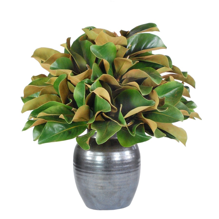 Winward Home Magnolia In Crete Pot (Whd286-Gr) Hot