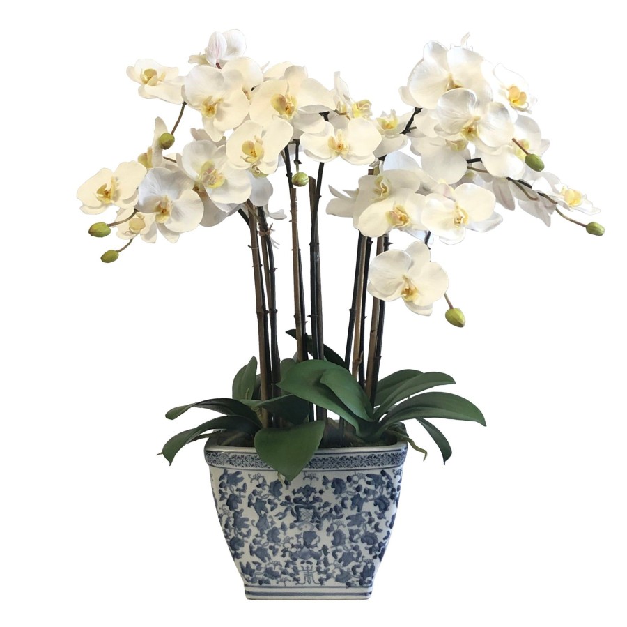 Winward Home Orchids In Rect Cache Pot (Whd273-Blwh) New