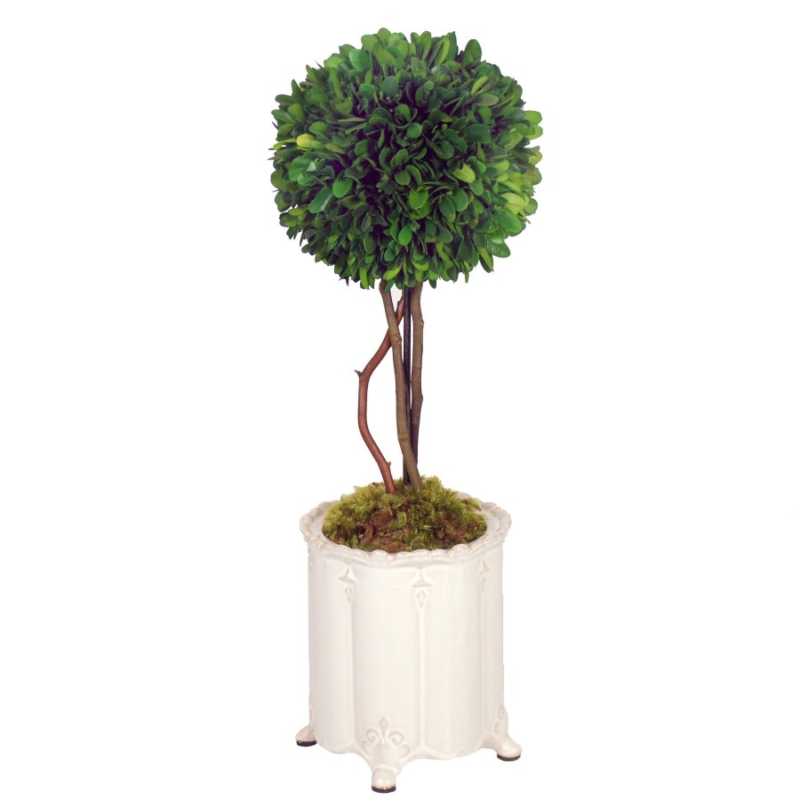 Winward Home Boxwood Ball Topiary In Canister Vase (Whd117-Gr) Wholesale