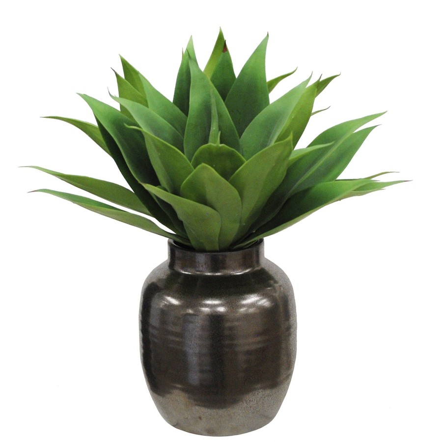 Winward Home Aloe In Crete Pot 21-Inches Tall Best