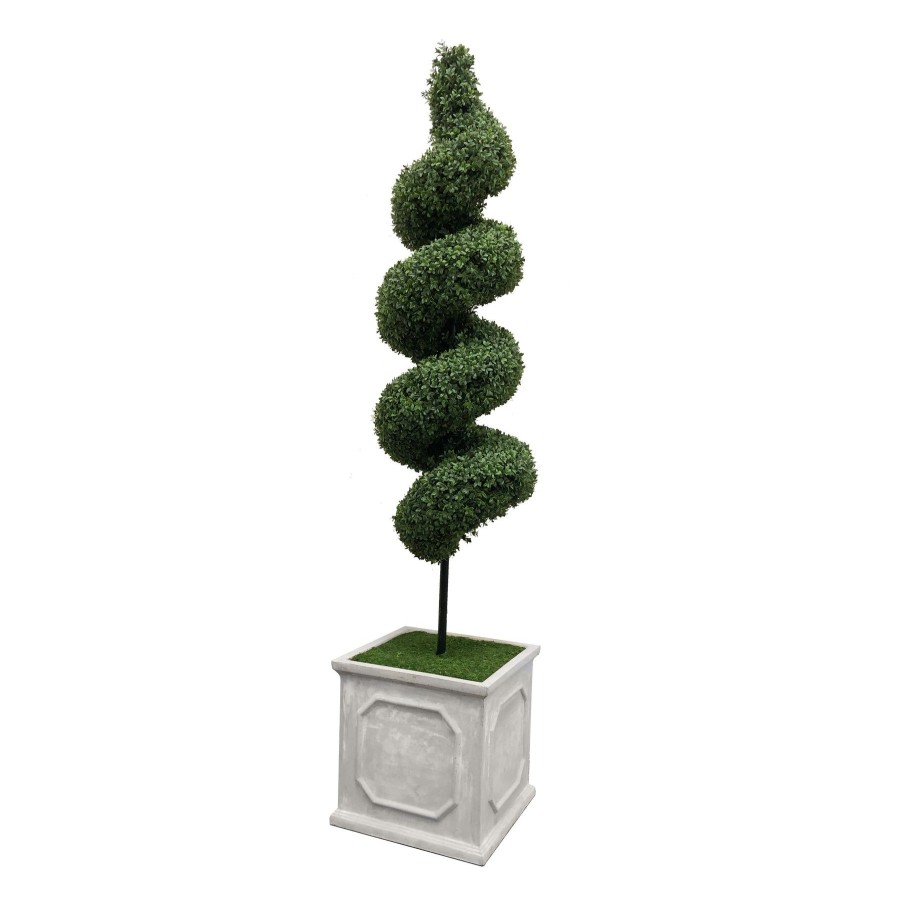 Winward Home Spiral Boxwood In Square Planter 6.5' Wholesale