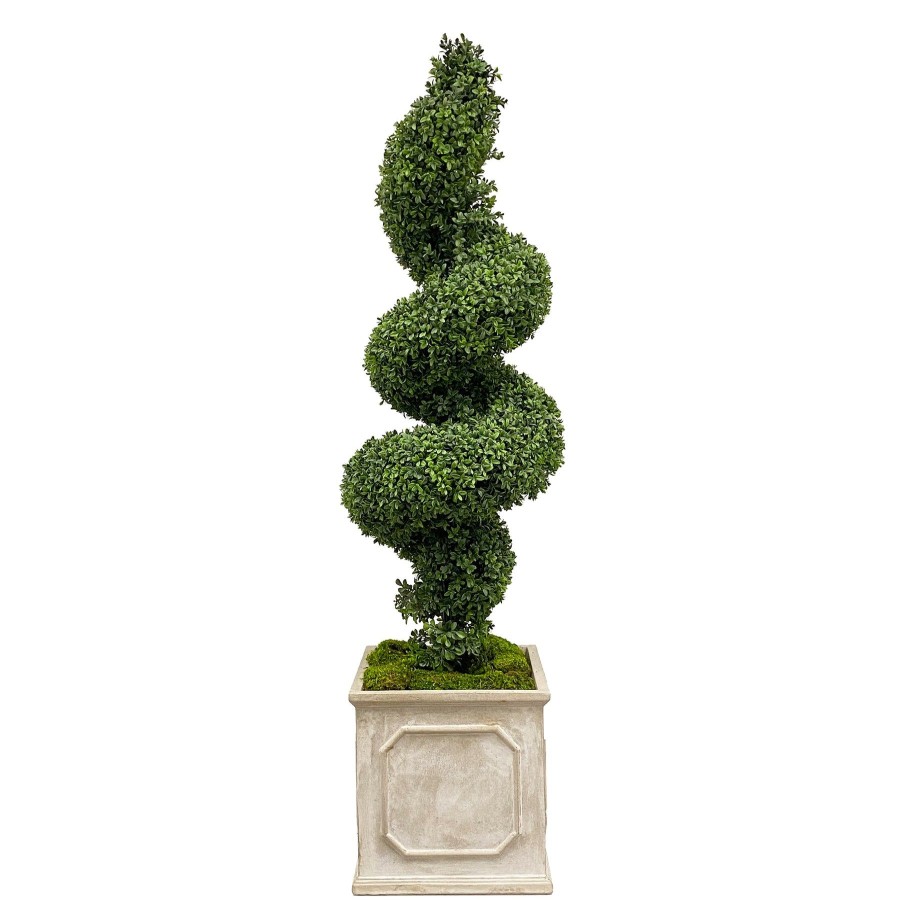 Winward Home Spiral Boxwood In Square Planter 65" New