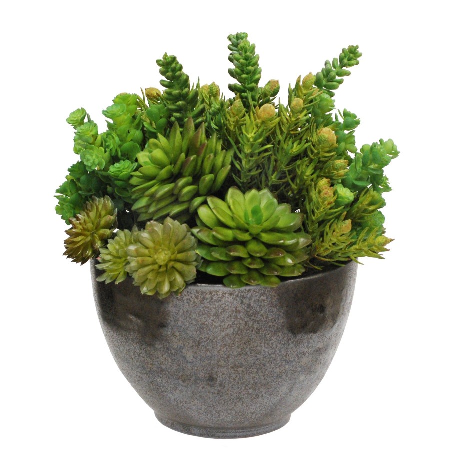 Winward Home Succulent Crete Bowl 13'' New