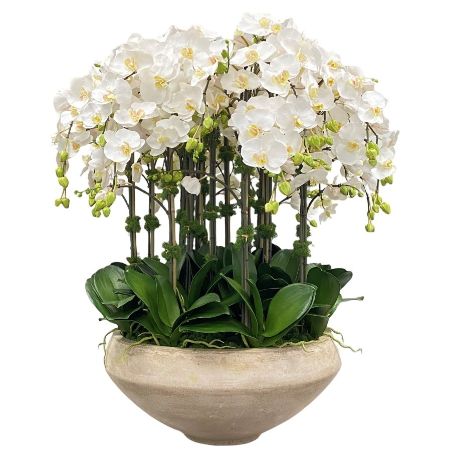 Winward Home Orchids In Bowl With Taper Bottom 38" Hot