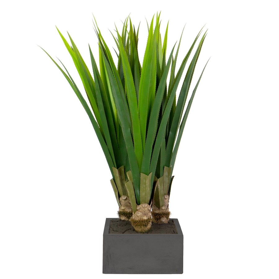 Winward Home Aloe In Square Stonecast Planter 4' Best