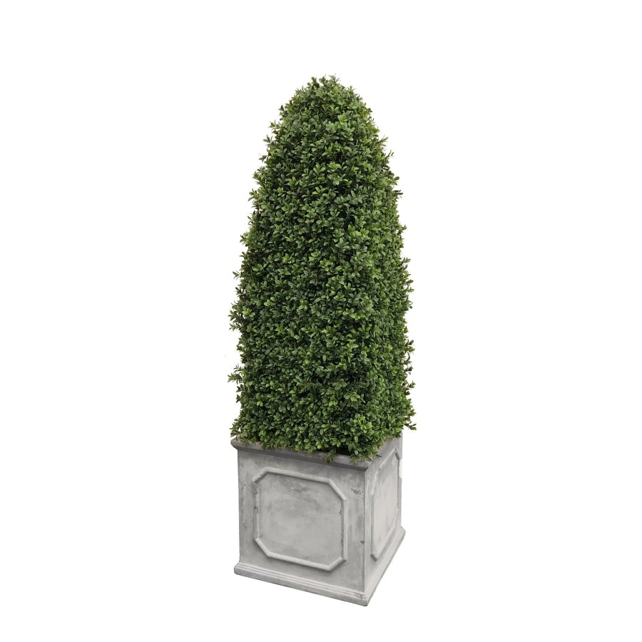 Winward Home Bullet Boxwood In Square Planter 4.5' Best