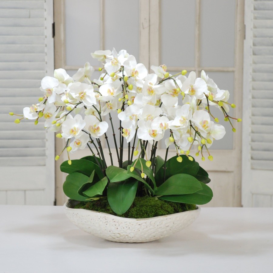 Winward Home White Orchids In Durian Bowl Best