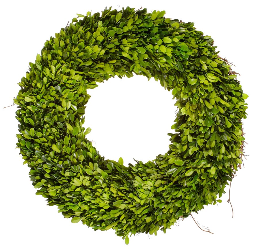 Winward Home Preserved Boxwood Wreath 20" Single-Side Best