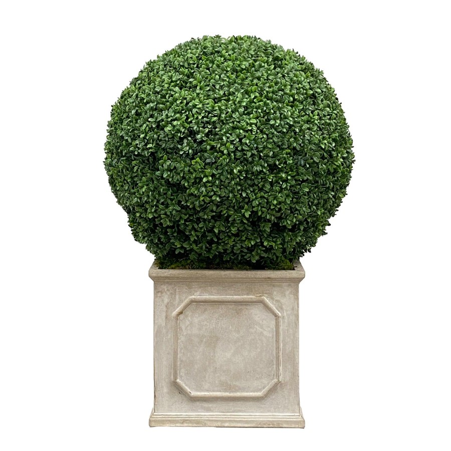 Winward Home 24" Boxwood In Planter Wholesale