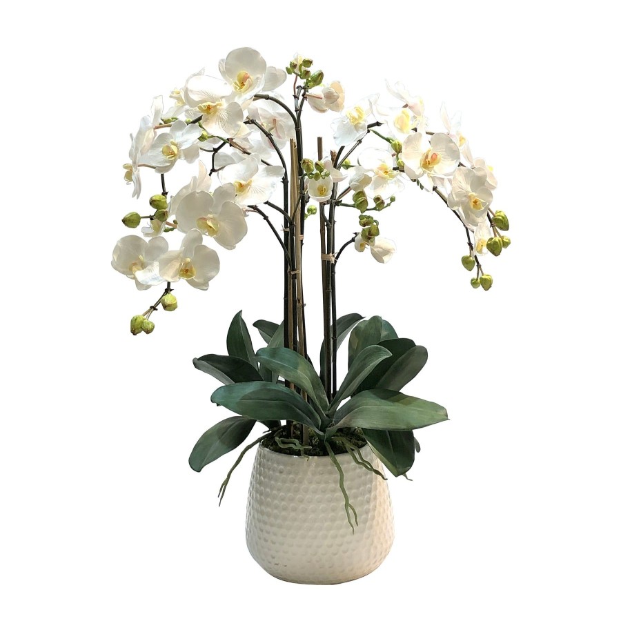 Winward Home Phalaenopsis In Durian Cache Pot (Whd227-Wh) Wholesale