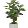 Winward Home Fiddle Leaf Fig Tree In Square Planter 4' Wholesale