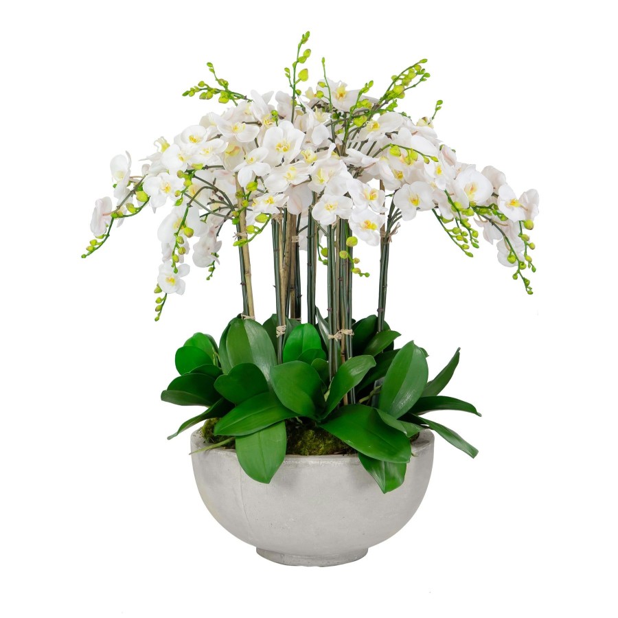 Winward Home Deluxe Orchids In Bowl 34" Online