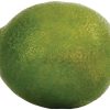 Winward Home Lime (Set Of 12) Clearance