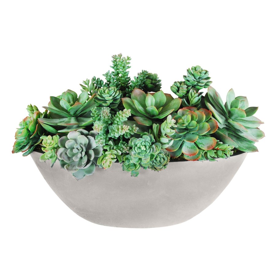 Winward Home Succulent Mix In Oval Planter 14'' Clearance