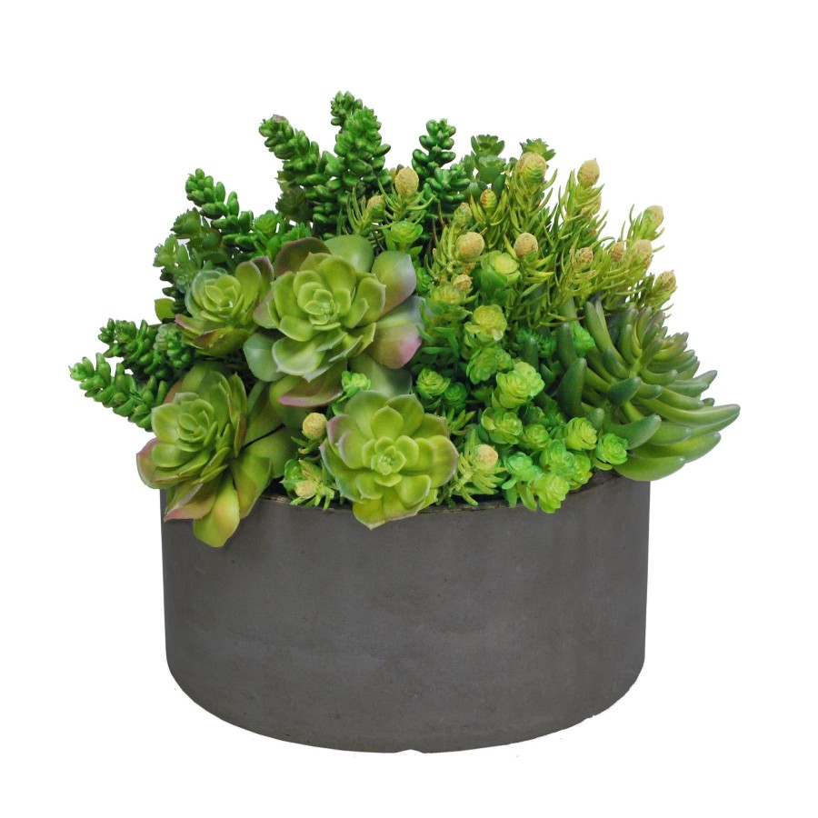 Winward Home Succulent Tall Garden Planter 14" Clearance