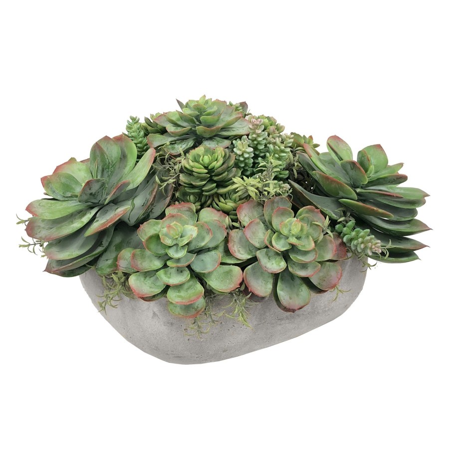 Winward Home Mix Succulent In Casual Tray 11.5'' Clearance