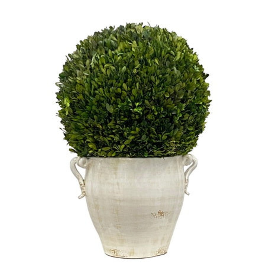 Winward Home Boxwood In Planter 28'' Wholesale